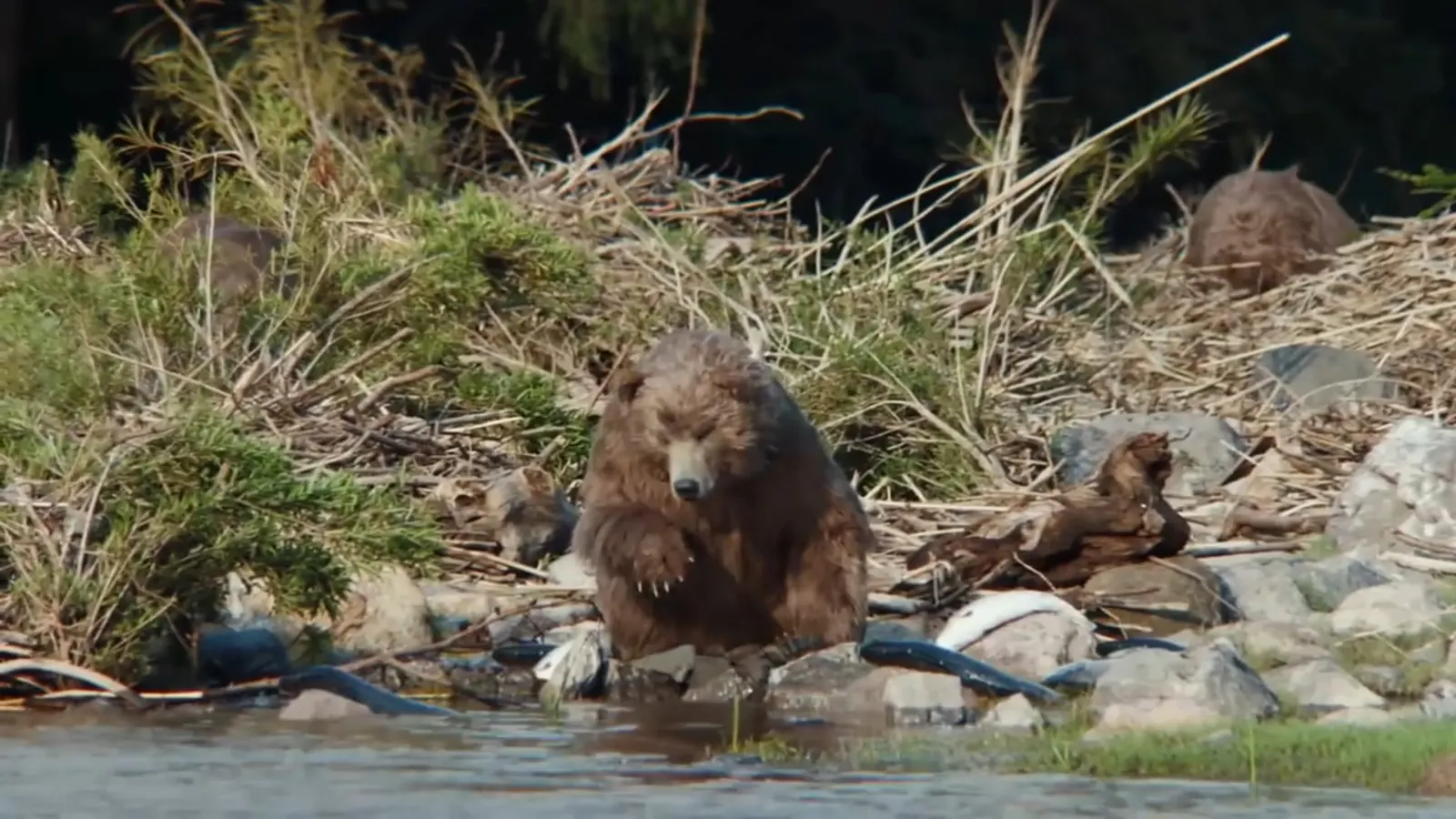 NFL on Amazon, a frame from Never Seen Before